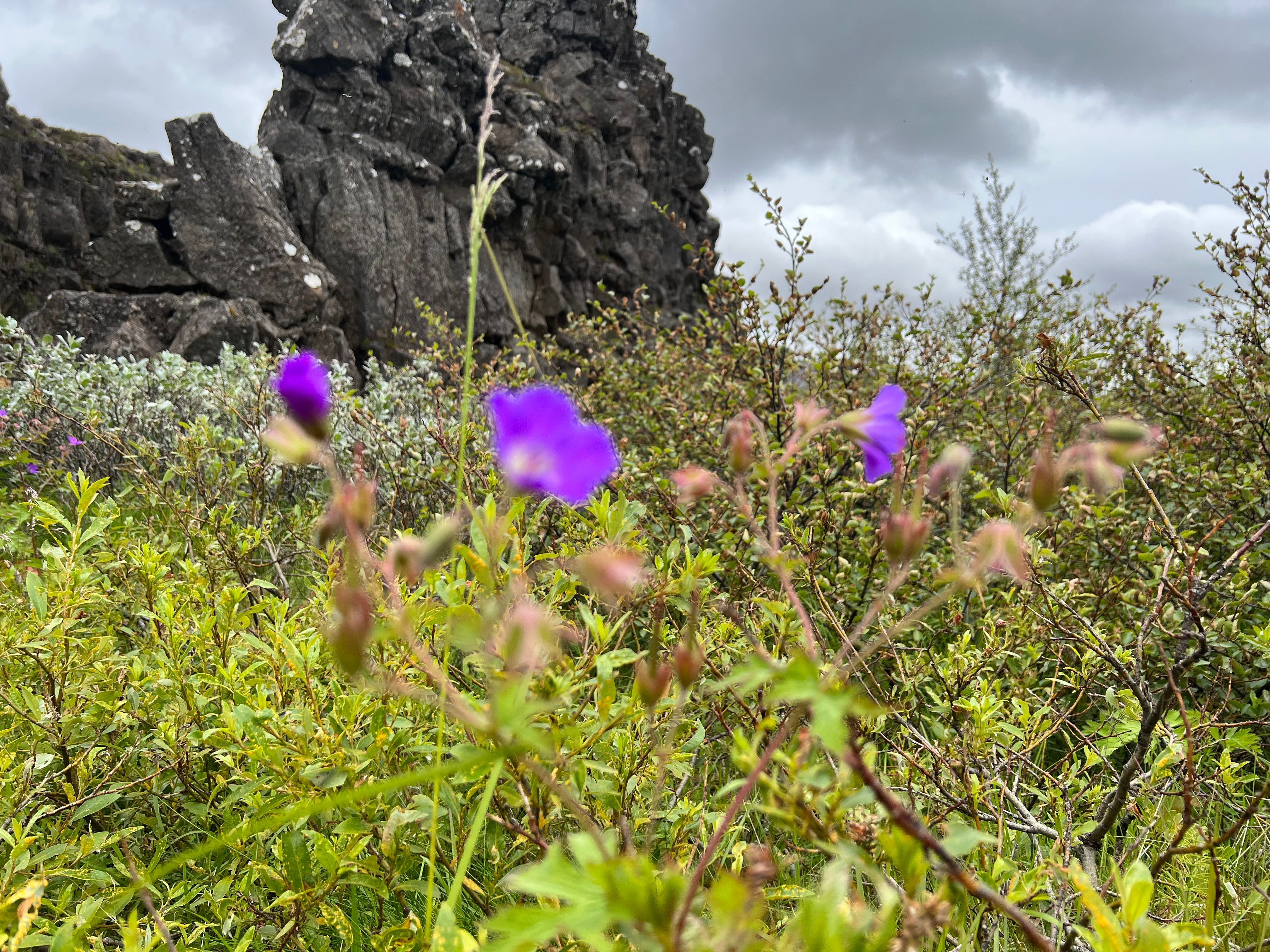 Reisebild 5