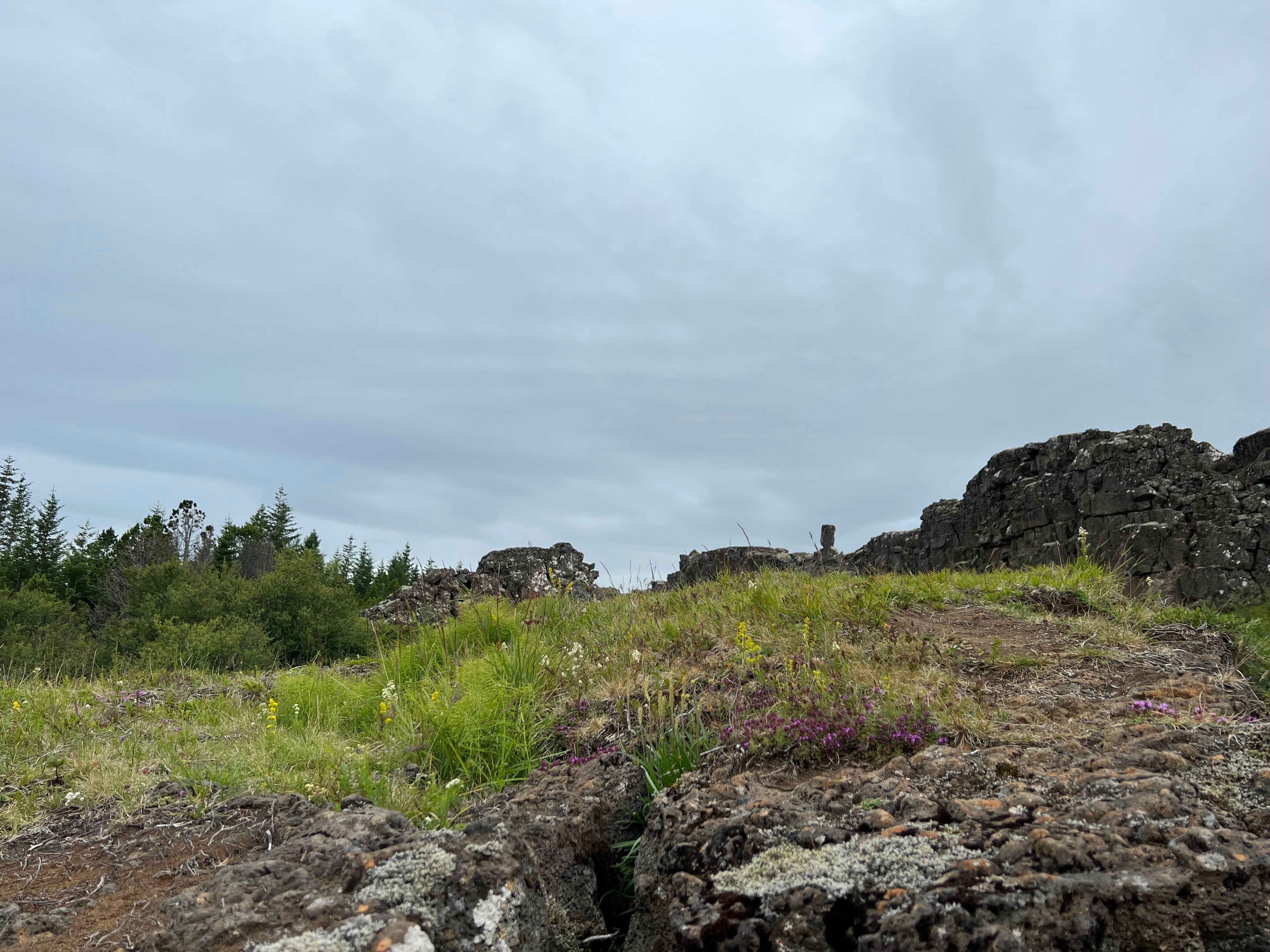 Reisebild 15