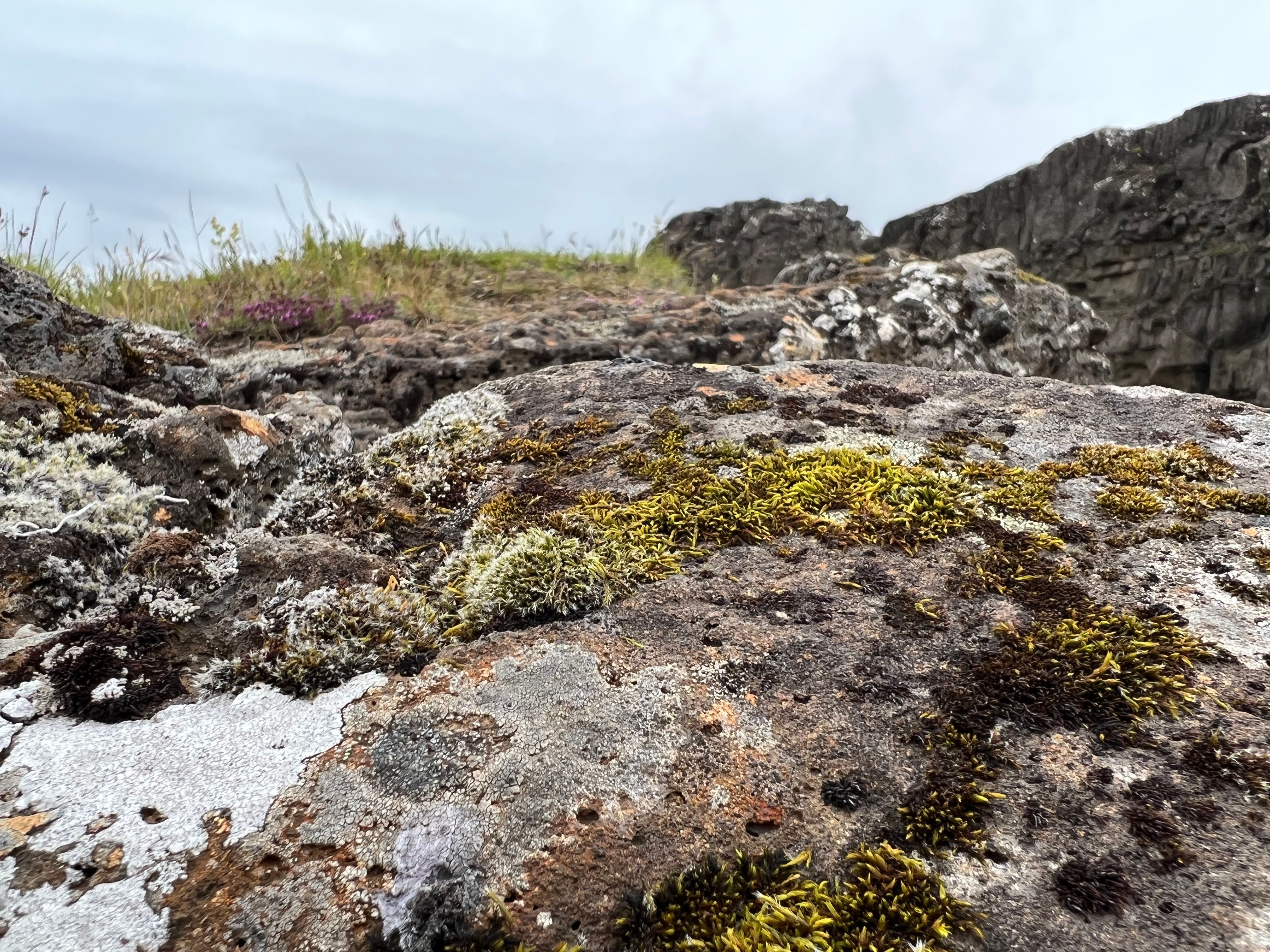 Reisebild 8