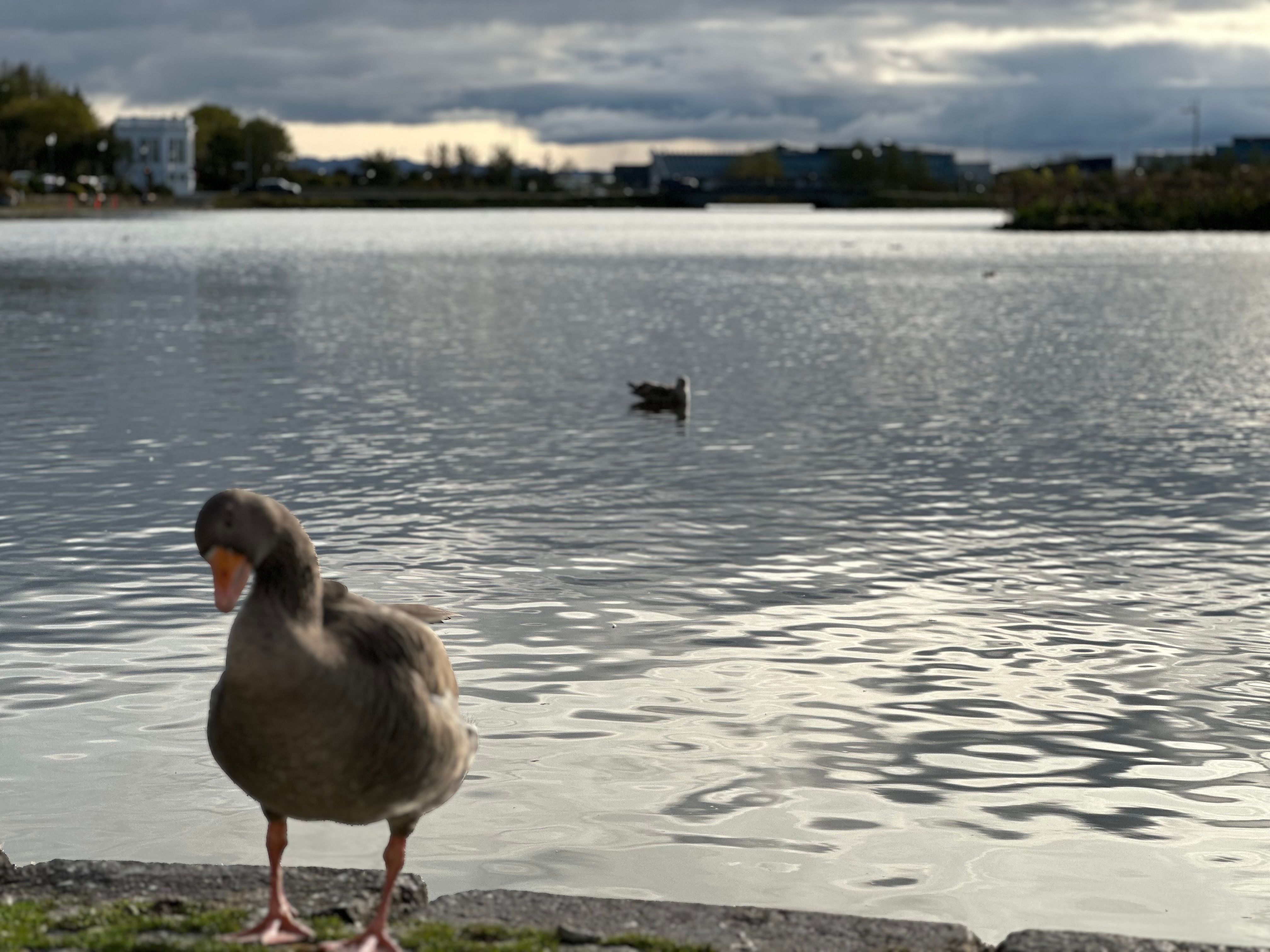 Reisebild 31