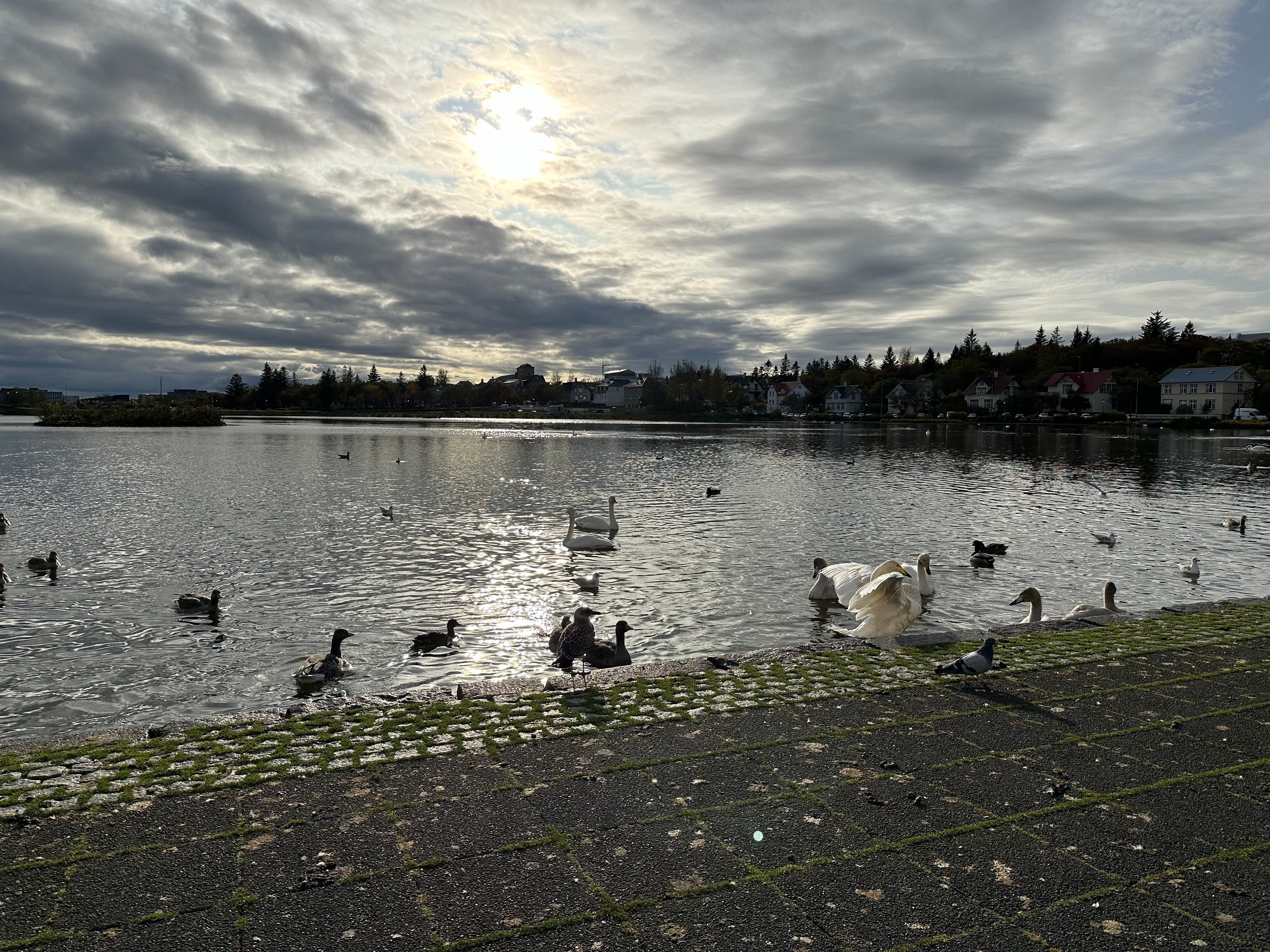 Reisebild 30