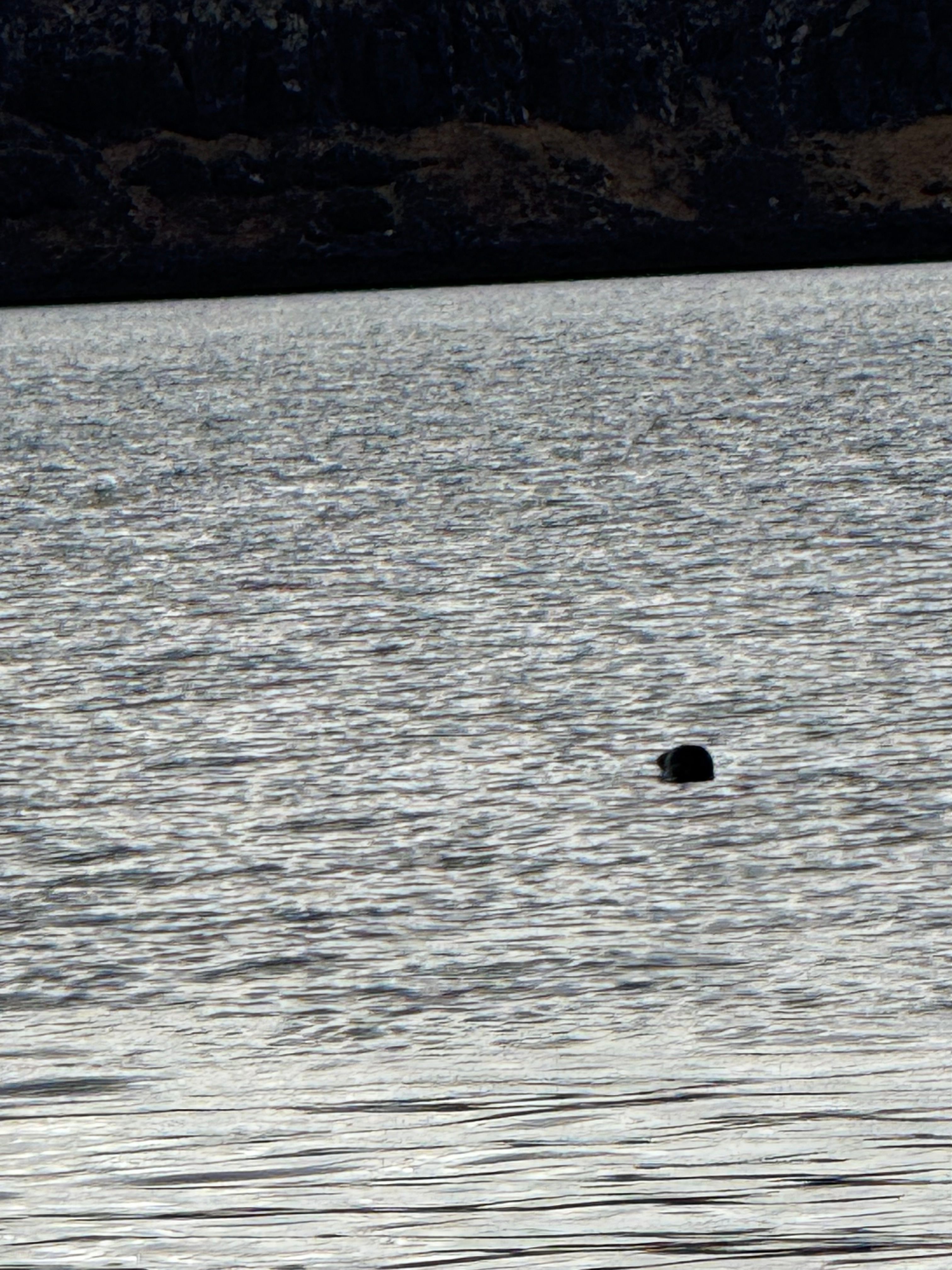 Reisebild 33