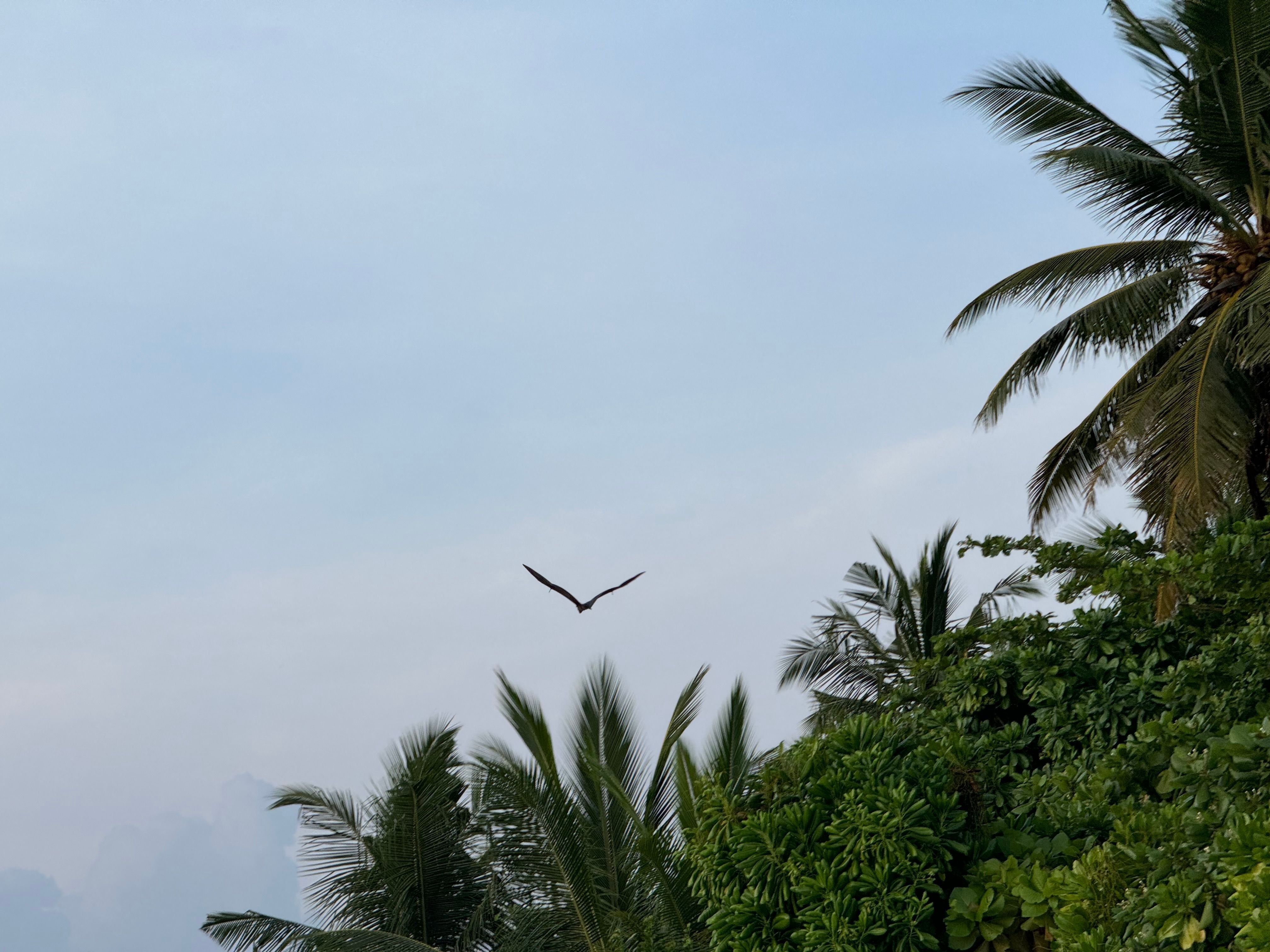 Reisebild 13
