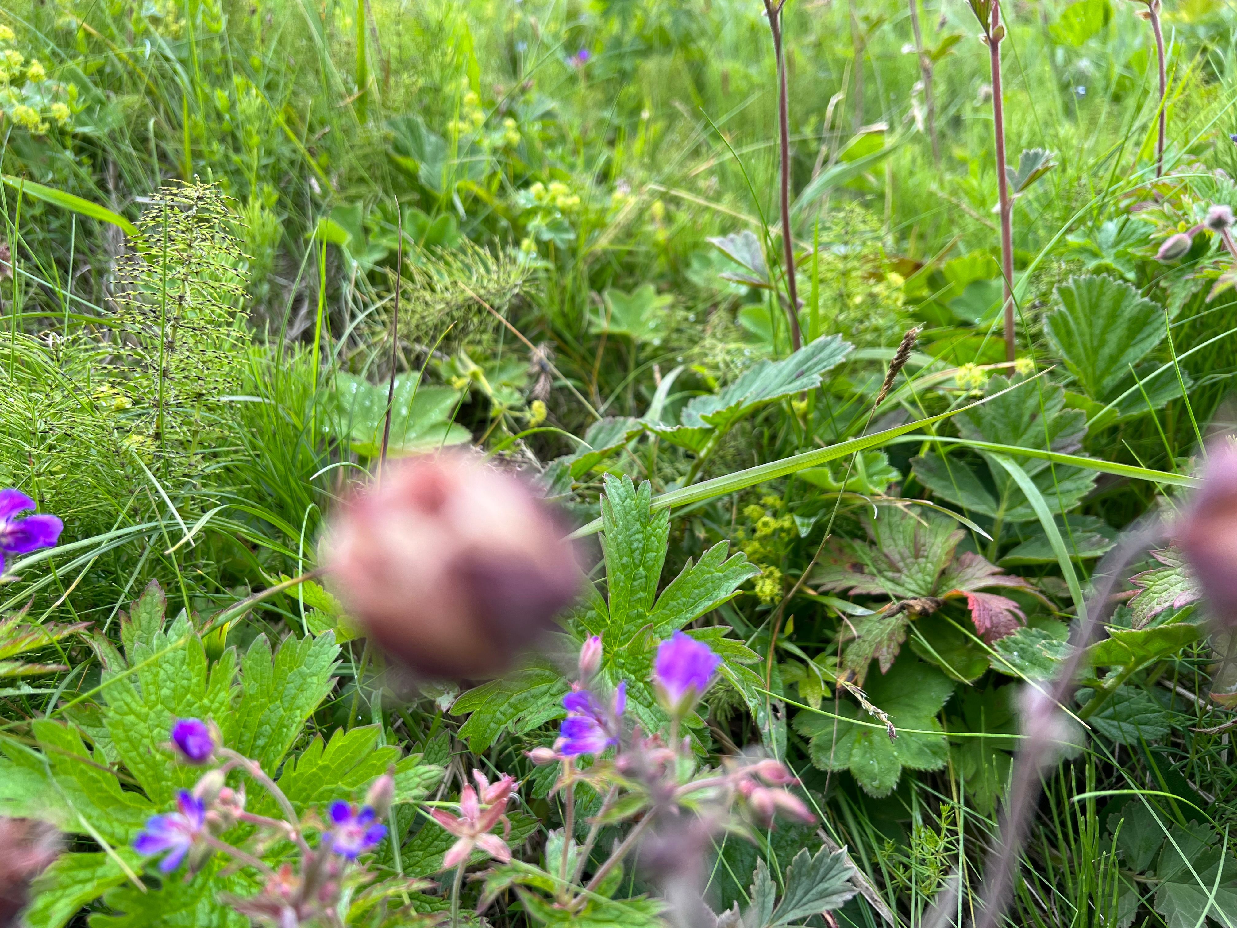 Reisebild 12