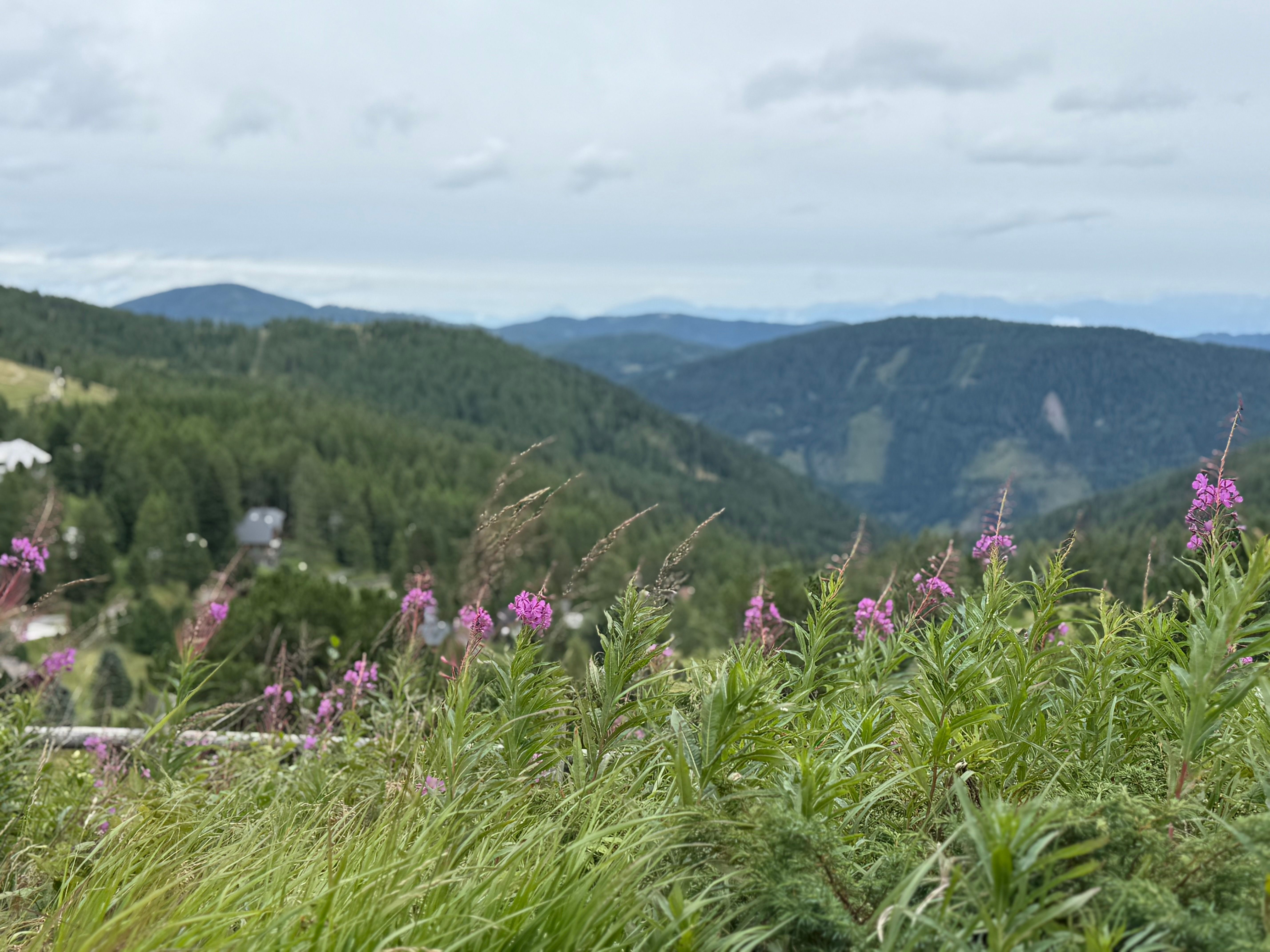 Reisebild 5