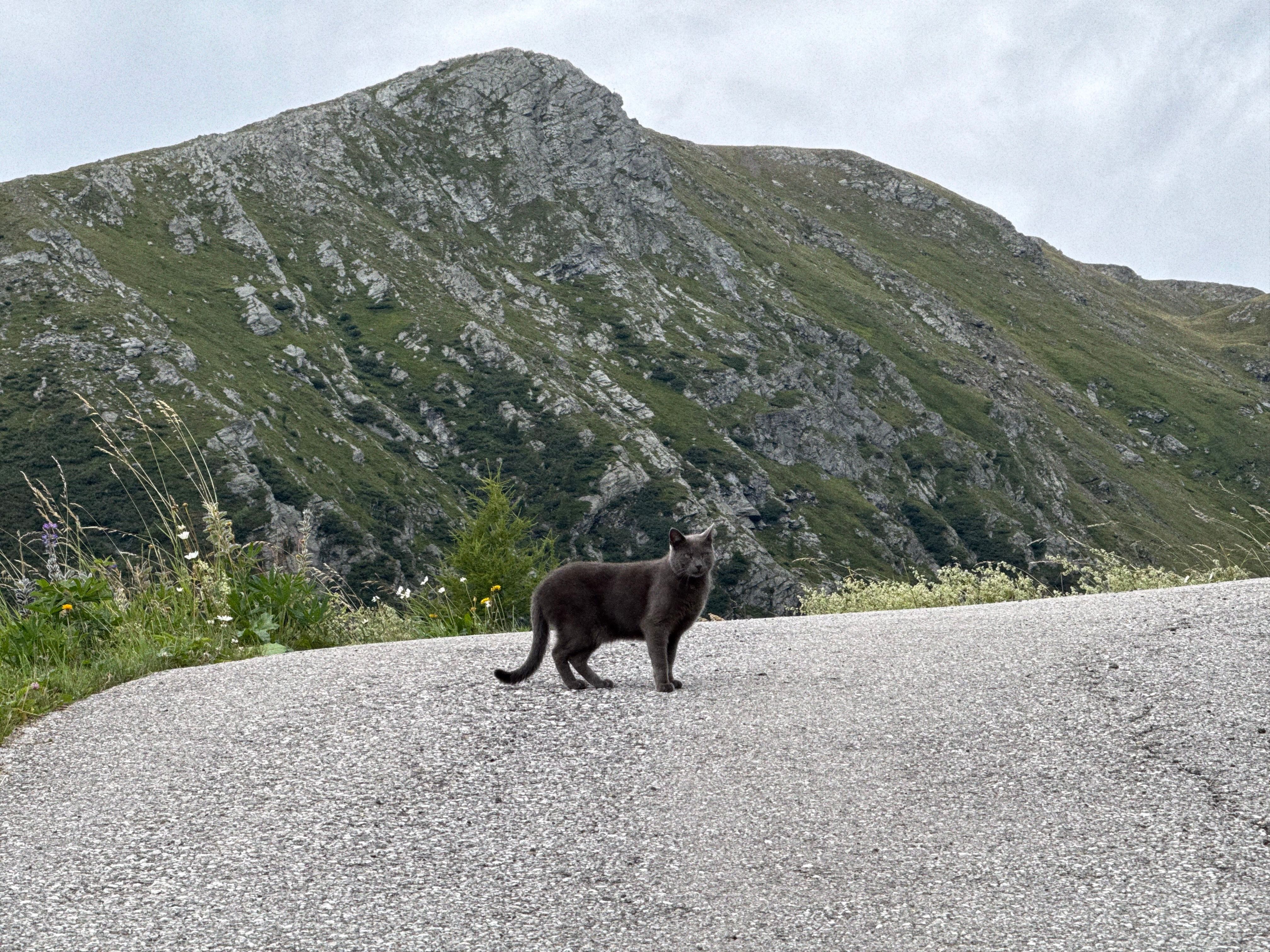 Reisebild 1