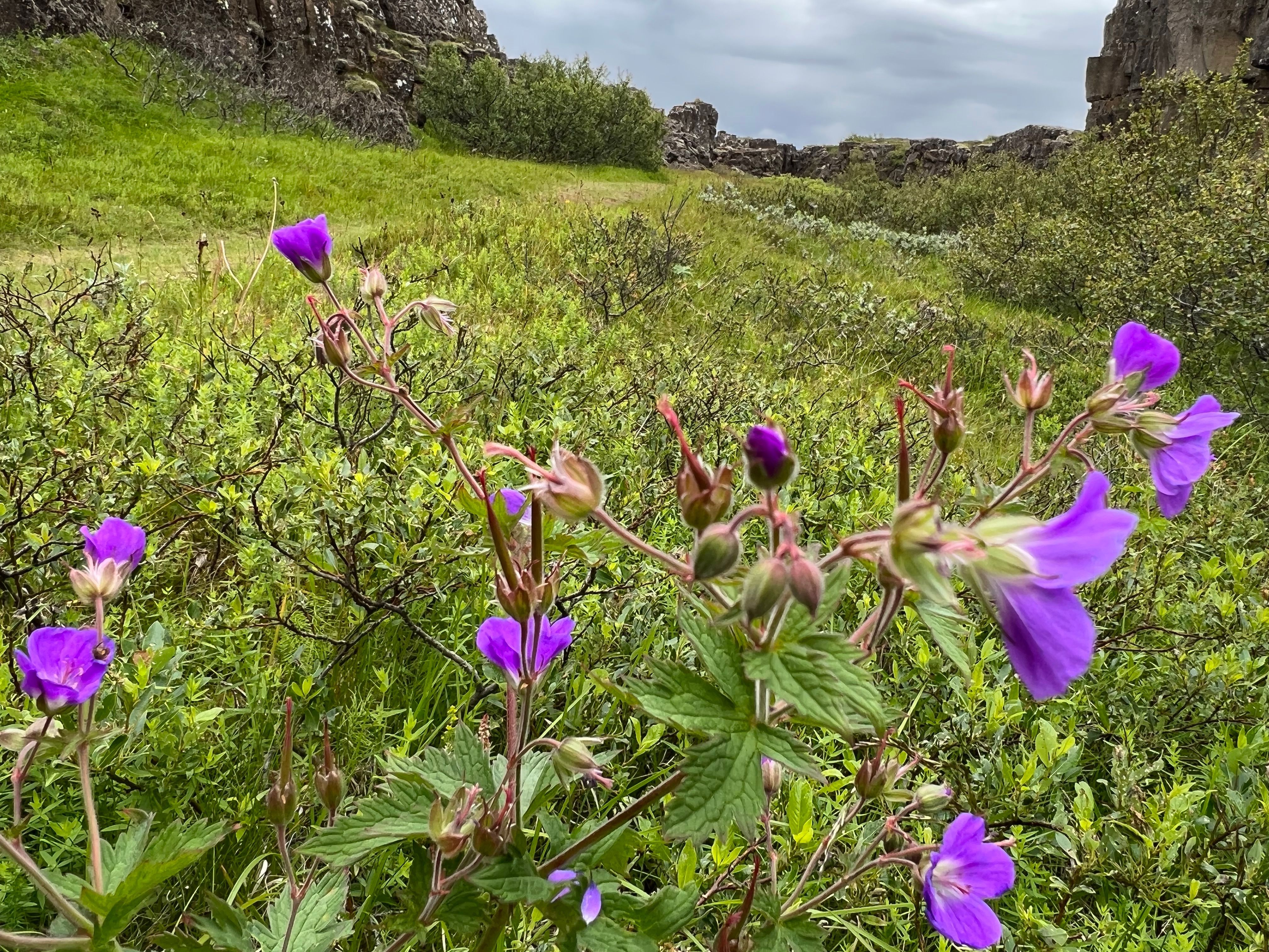 Reisebild 6