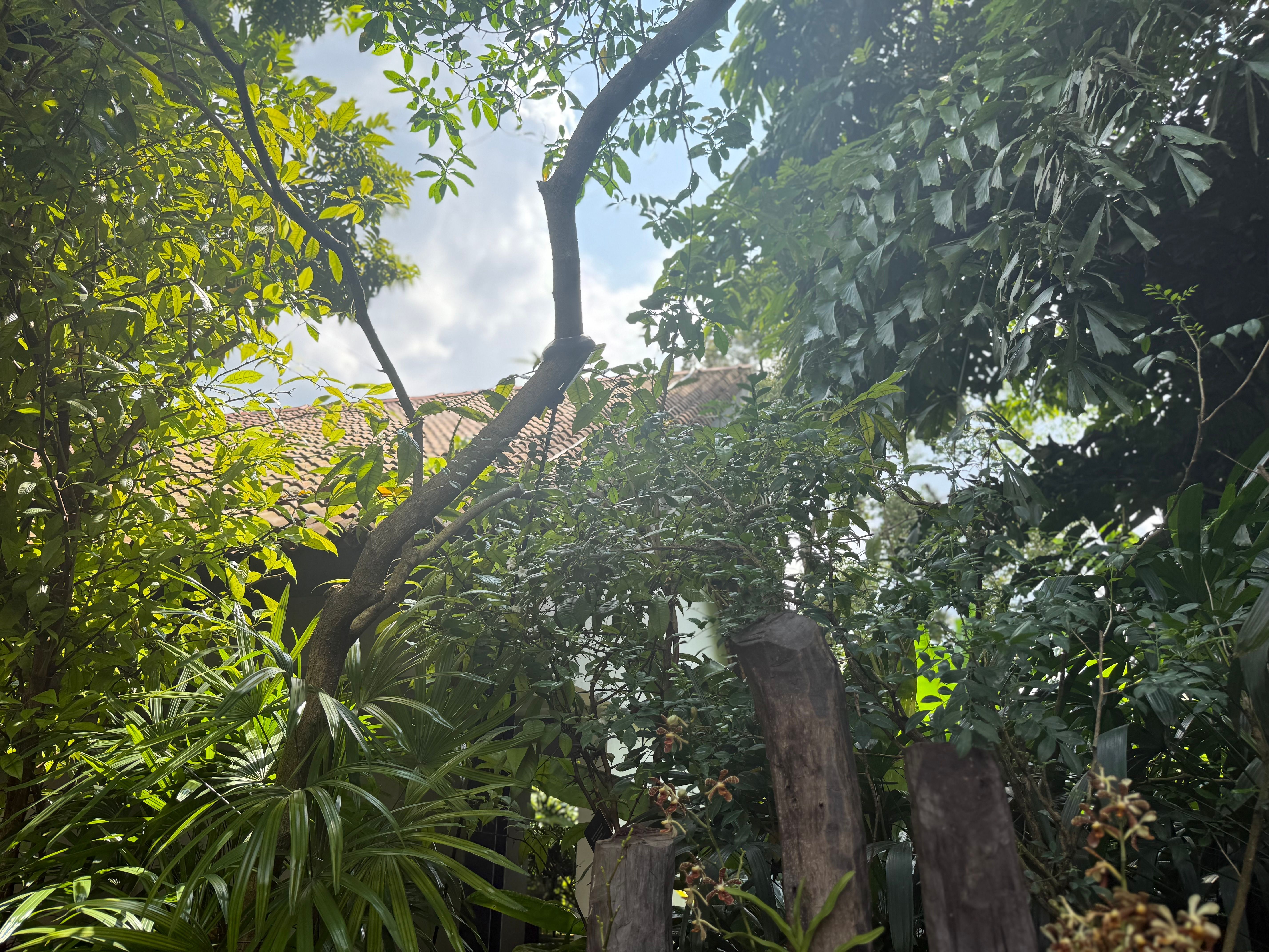 Reisebild 24