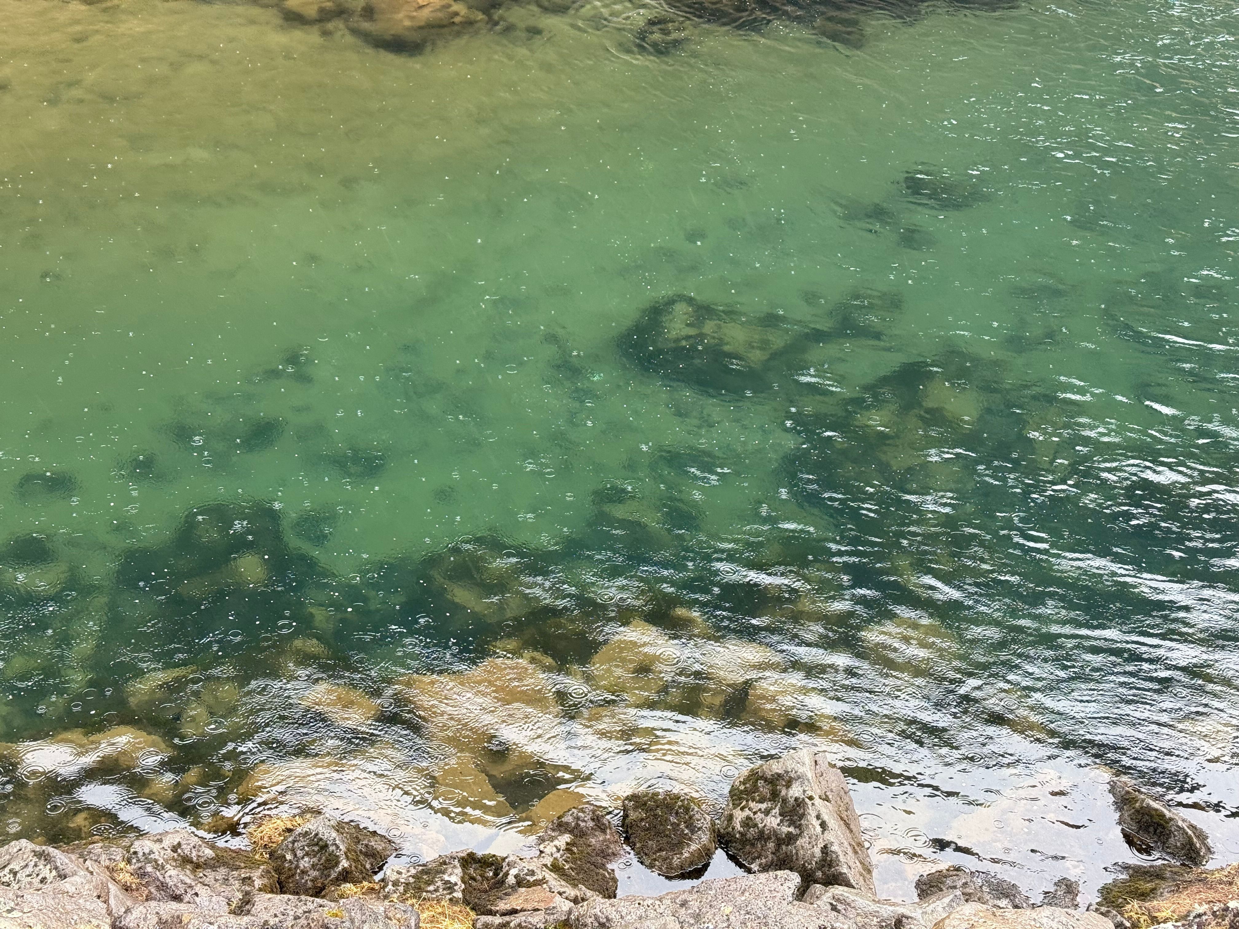 Reisebild 7